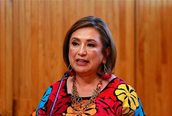 ¡RECTOR DE LA UNAM PIDE ANALIZAR SUPUESTO PLAGIO DE XOCHITL GALVEZ