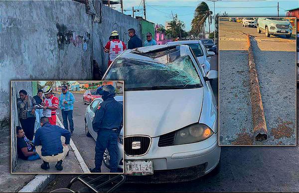 LA TORREFEA HACE TODO LO POSIBLE PERO... AGUAS CON LOS ¡ÁRBOLES, POSTES Y COCOS! ...y Semáforos