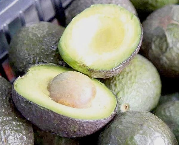 ¡EXIGEN FRENAR DEFORESTACIÓN POR AGUACATE! -Buscan "Negar el permiso de exportación a las huertas de aguacates instaladas en tierras deforestadas recientemente..."