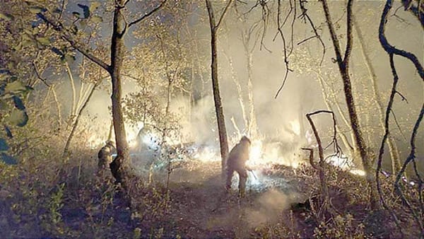 ¡58 INCENDIOS FORESTALES! - *Entre el 8 y el 21 de marzo, los siniestros crecieron en un 66 por ciento