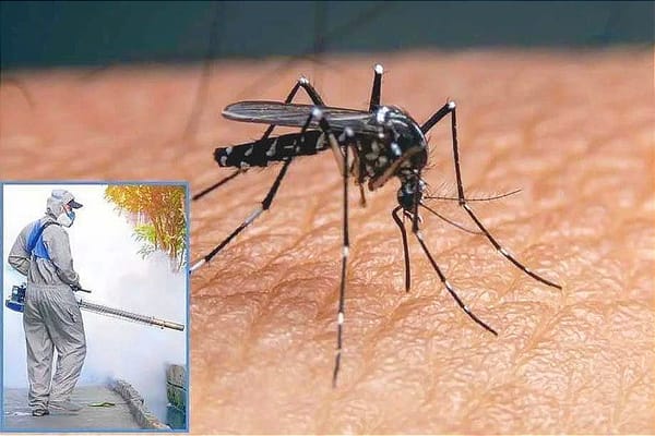 ¡ALERTAN POR DENGUE! - EN MÉXICO HA CRECIDO 500%!