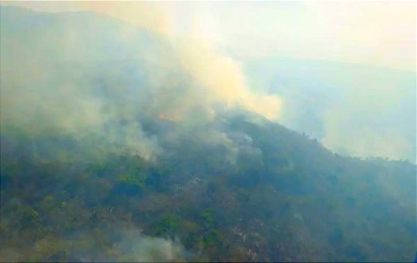 ¡SIGUEN ACTIVOS 115 INCENDIOS FORESTALES; LIQUIDAN 45! - LOS MÁS AFECTADOS, VERACRUZ, OAXACA Y CHIAPAS