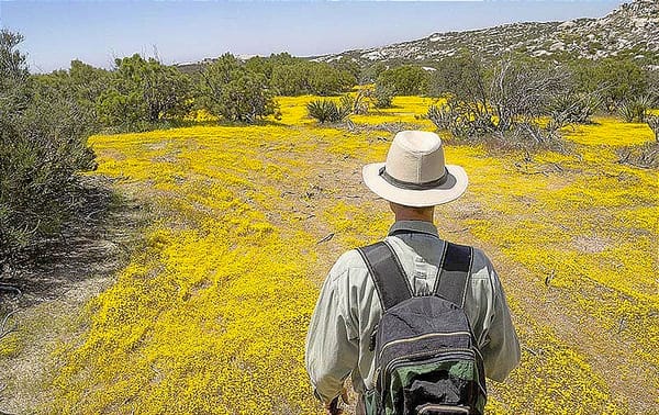 ¡ECOSISTEMA DIVIDIDO POR EL MURO! - *MÉXICO-EU