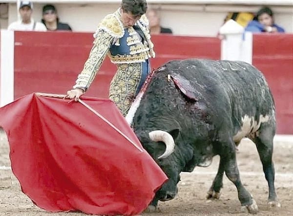 ¡SUSPENDEN OTRA VEZ CORRIDAS DE TOROS EN LA PLAZA MÉXICO!