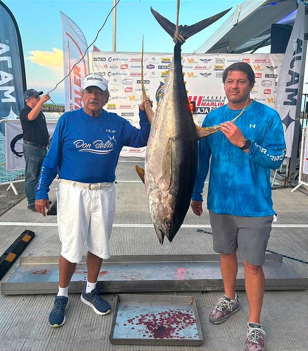 ¡”DON BALTA” CON UN ATÚN ALETA AMARILLA DE 42.5 KG! - TORNEO DEL MARLÍN! *Hoy concluye en el Club de Yates