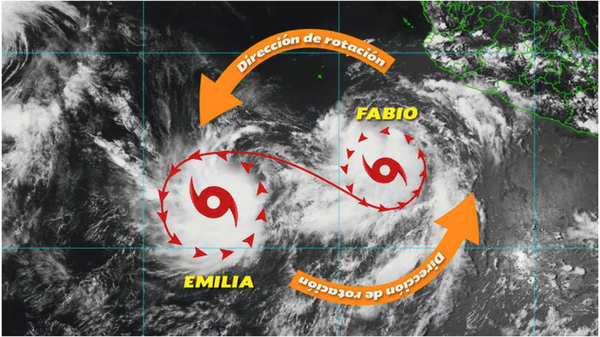 ¡EFECTO FUJIWHARA! - FABIO Y EMILIA SE FUSIONARÍAN!