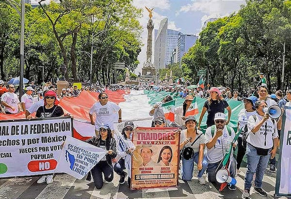 ¡LE PONEN LUPA A 43 SENADORES! - CHA CHA CHAN...