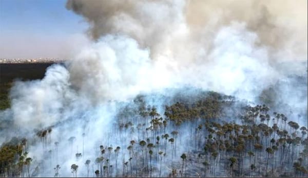 ¡BRASIL ATRAVIESA SU PEOR SEQUÍA CON INCENDIOS FORESTALES Y EL AMAZONAS EN UN MÍNIMO HISTÓRICO!