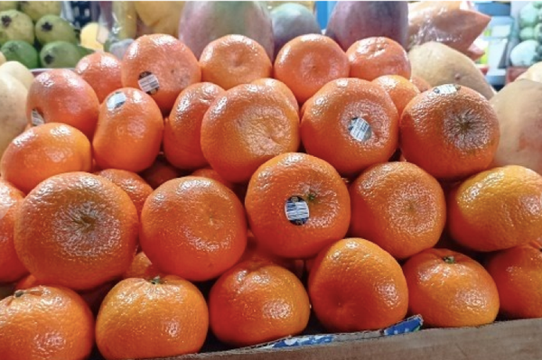 ¡HASTA 110 PESOS VENDEN KILO DE MANDARINA CHILENA!