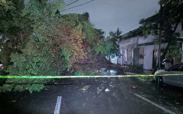 ¡CAE ÁRBOL Y DEJA A VECINOS SIN TELÉFONO, LUZ Y NI INTERNET!