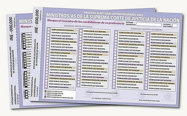 ¡REACTIVARÁ INE ORGANIZACIÓN DE ELECCIÓN DEL PJ!