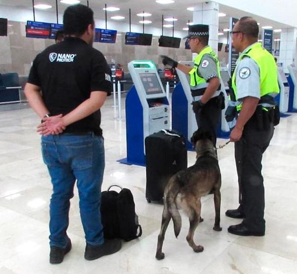 ¡AGENTE CANINO DETECTA MALETA SOSPECHOSA EN EL AEROPUERTO!