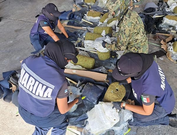 ¡ASEGURAN 750 KILOS DE MARIHUANA EN EL RECINTO PORTUARIO!