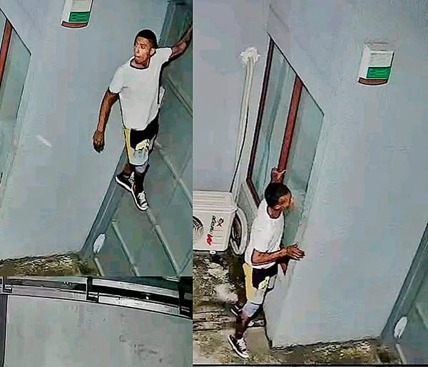 ¡GRABAN EN VIDEO AL ‘HOMBRE ARAÑA’ ROBANDO EN CASAS!