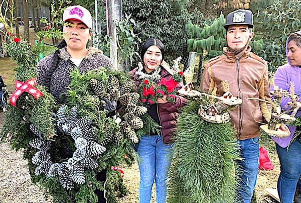 ¡CAMBIAN LA PAPA POR LA ARTESANÍA! - EN LAS VIGAS