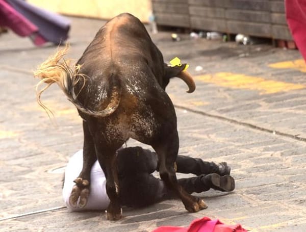 ¡MULTARÁN HASTA CON 24 MIL PESOS A QUIEN MALTRATE A LOS TOROS!