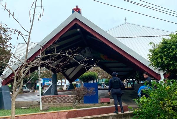 ¡QUERÍA ARROJARSE DE PÉRGOLA EN EL PARQUE JUÁREZ DE POZA RICA!