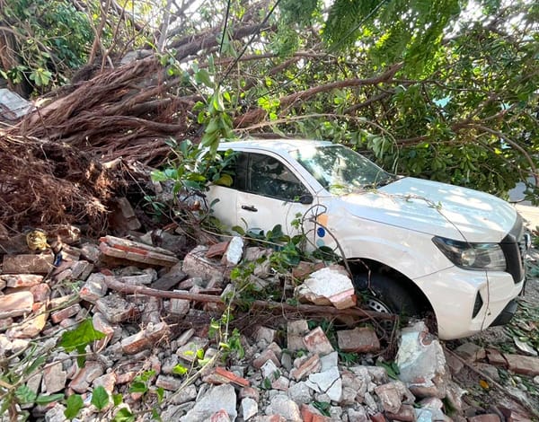 ¡PUROS NORTES! - *Sábado frío, domingo cálido y lunes frío otra vez en Veracruz